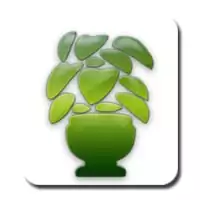 Anniversaire Les plantes