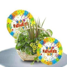 Panier Evergreen