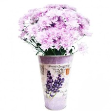 Violet Vintage