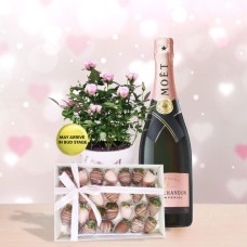 Baies N Champagne