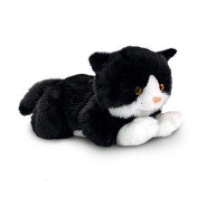 Chat câlin en noir et blanc - Boue