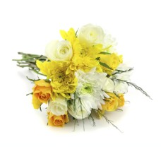 Fleurs de soleil