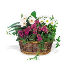 Envoyer un panier de fleurs Smile