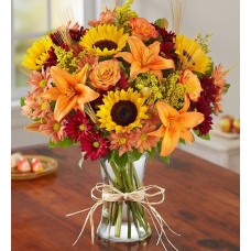 Fields Of Europe® pour l'automne (petit)