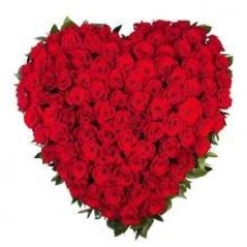 Roses en forme de coeur
