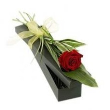 Rose rouge unique dans une boîte cadeau