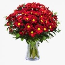 Chrysantimums rouges