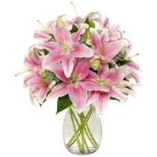 Vase 12 Tige Lys Rose