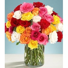 Trois douzaines de roses assorties