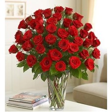 Trois douzaines de roses rouges