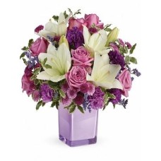 Prose violette