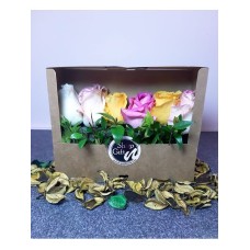 Jardin des roses