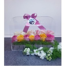 Les roses Plexy