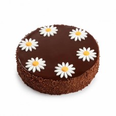 Gateau au Chocolat 6 Portions
