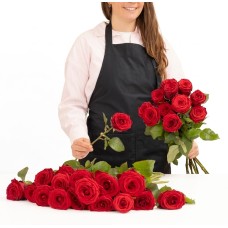 To Insanity (10 Roses)