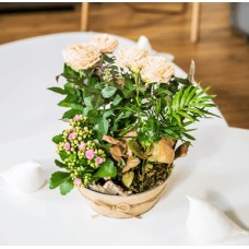 Coin De Paradis