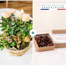 Coin De Paradis Et Ses Amandes Au Chocolat
