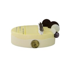 Gâteau Mousse Aux Fruits De La Passion Brésilienne-8In