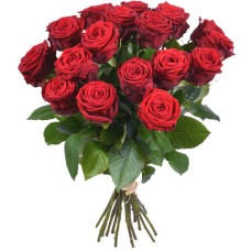 24 roses rouges