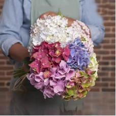 Hydrangea Bouquet (7 stems)