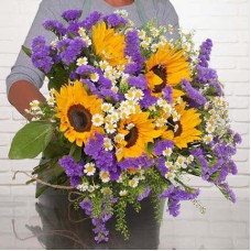 Fleurs de pré