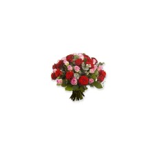 Roses idéales (petites)