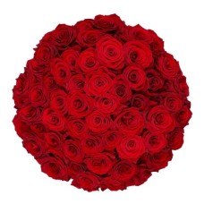 50X roses rouges Naomi