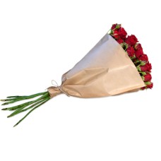 Paquet de roses rouges Polyantha