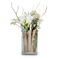 Style de vie (orchidée dans un vase)