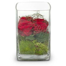 Roses 4 vous