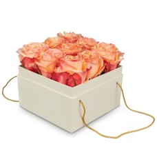 Flowerbox «Vienne» (15 Cm)