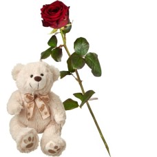 1 rose rouge avec ours en peluche (blanc)