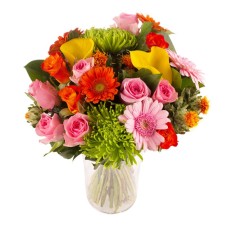 Fleurs et couleurs