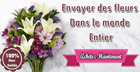 Chocolats et cadeaux