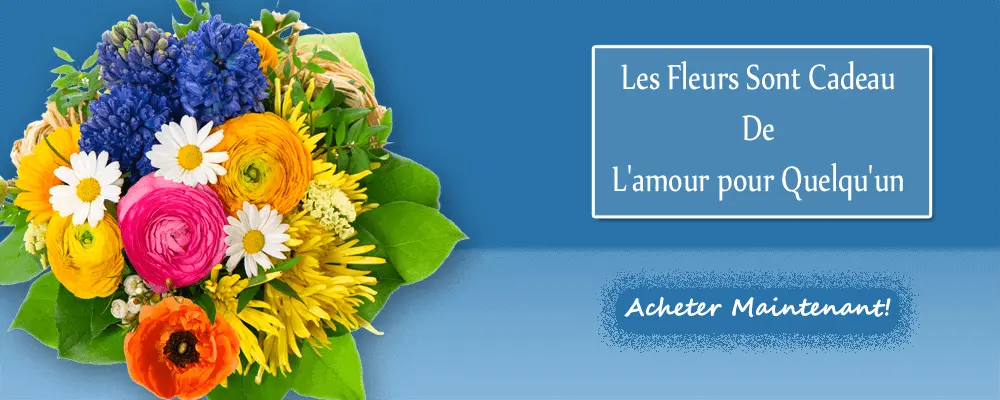 Fleurs et cadeaux avec qfleurs.fr