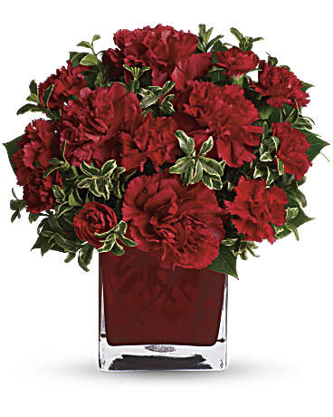 Amour précieux (Standard)