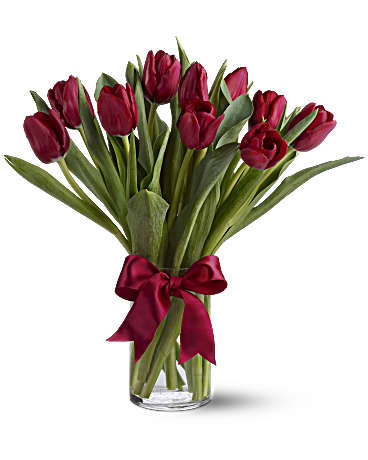 Tulipes d'un rouge éclatant (standard)