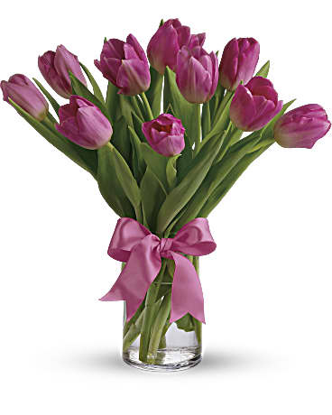 Tulipes roses précieuses (standard)