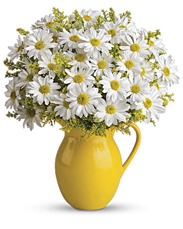 Giftblooms Sunny Day Pitcher of Daisies (Standard)