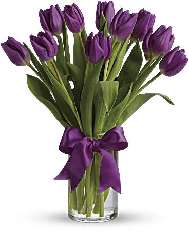Passionate Purple Tulips (Standard)