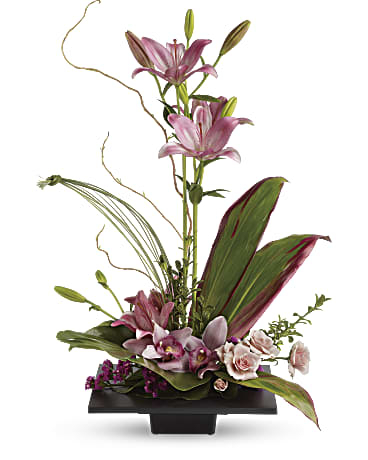 L'imagination s'épanouit avec les orchidées cymbidium (standard)