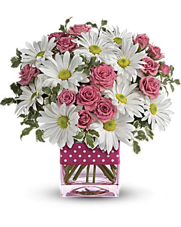 Giftblooms Polka Dots and Posies (Standard)