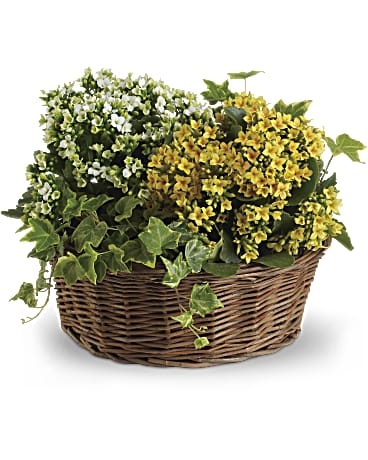 Panier de joie