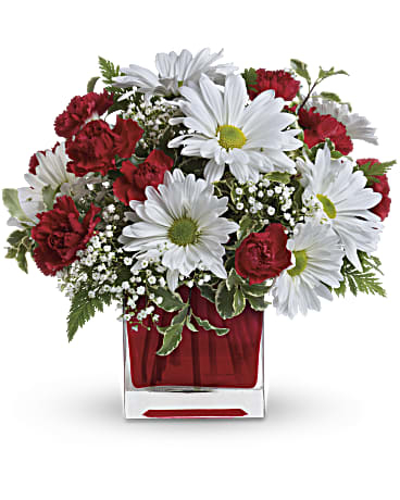 Red And White Delight by Giftblooms (Standard)