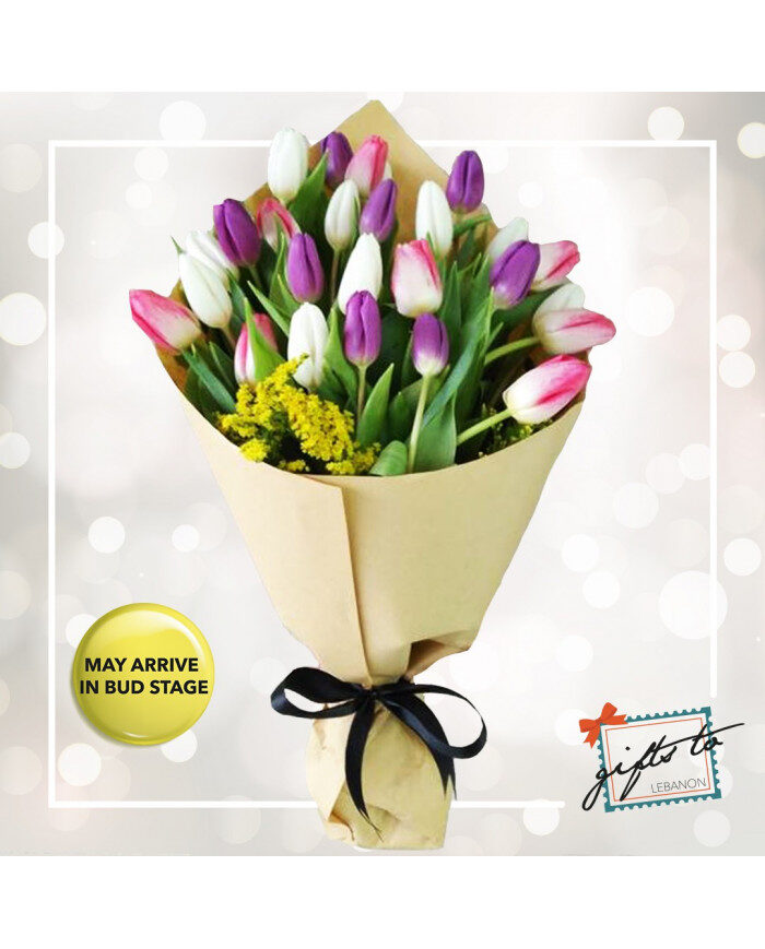 Énergie des tulipes
