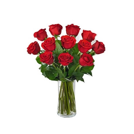 Roses à longue tige