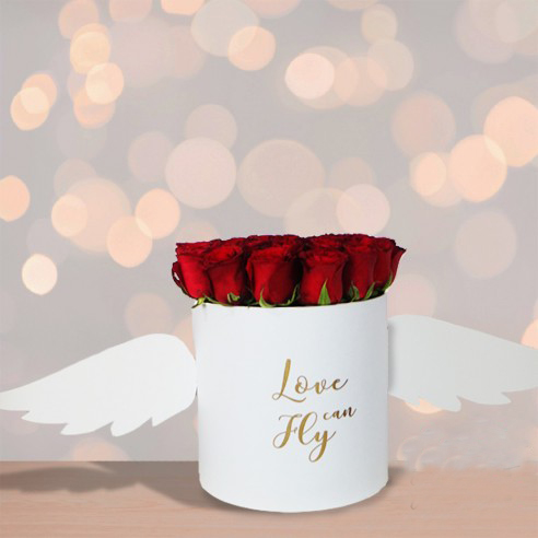 L'amour peut voler