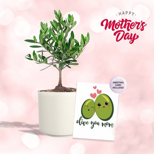 Olive toi maman