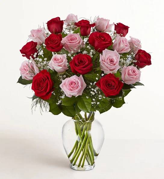 Ultimate Elegance™ Long Stem Pink & Red Roses (24 Stems Pink & Red)