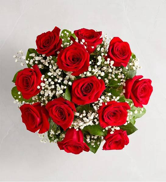 Rose Elegance™ Premium Long Stem Red Roses (12 Stems)